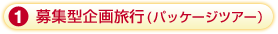 主催旅行(パッケージツアー)